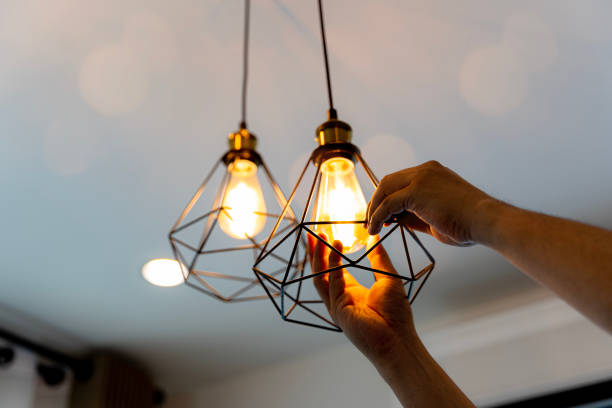 Best Electric Panel Repair  in Rush City, MN